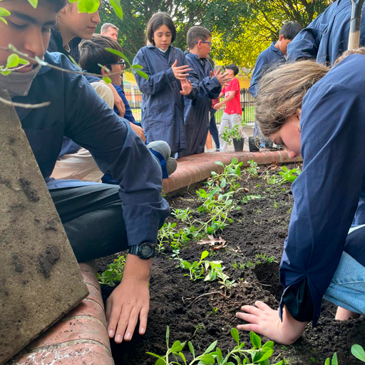 grupo de estudiantes realizando una jornada de transplante de distintas especies de plantas en la escuela