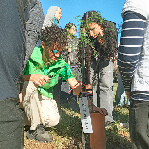 grupo de estudiantes realizando una jornada de transplante de árboles en el campo deportivo de la escuela